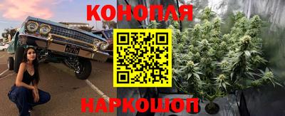 ешки Абинск