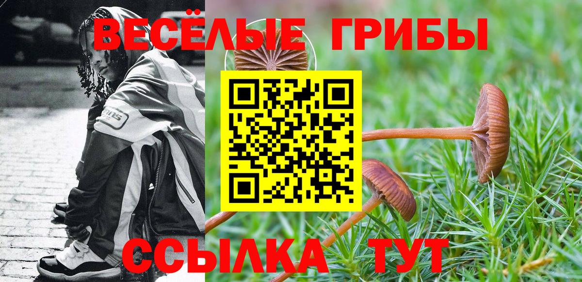 Галлюциногенные грибы Psilocybe  Вход с VPN  цены   Анжеро-Судженск 