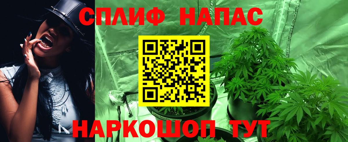 Шишки марихуана гибрид  Вход с VPN  МАРИХУАНА гибрид  МАРИХУАНА конопля  Анжеро-Судженск 